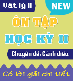 Ôn tập Học kỳ II (CD_11)